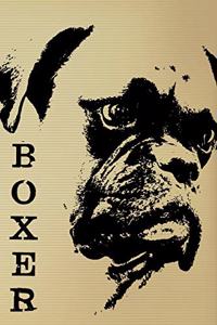 Boxer