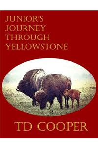 Junior's Journey Through Yellowstone