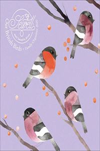 MATT SEWELLS OUR BRITISH BIRDS P W 2020