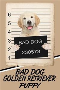 Bad Dog Golden Retriever Puppy