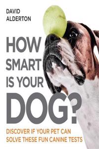 How Smart Is Your Dog?