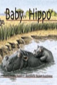 Baby Hippo