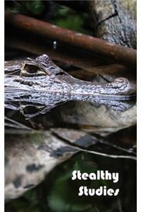 Stealthy Studies
