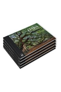 Oaks in Office: Biblical Essays for Political Leaders, Four Volume Set
