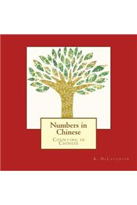 Numbers in Chinese