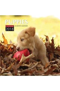 Puppies Calendar 2018