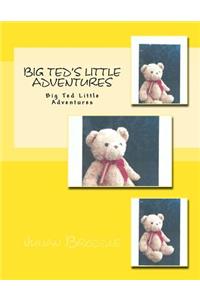 Big Ted's Little Adventures