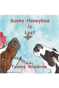Sunny Honeybee is Lost