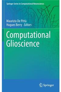 Computational Glioscience