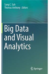 Big Data and Visual Analytics