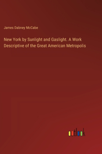 New York by Sunlight and Gaslight. A Work Descriptive of the Great American Metropolis