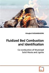 Fluidized Bed Combustion and Identification