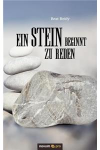 Ein Stein beginnt zu reden: Novelle