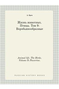 Animal life. The Birds. Volume 9