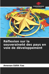 Réflexion sur la souveraineté des pays en voie de développement