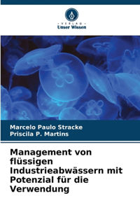 Management von flüssigen Industrieabwässern mit Potenzial für die Verwendung