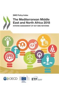 SME Policy Index The Mediterranean Middle East and North Africa 2018