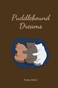 Puddlebound Dreams