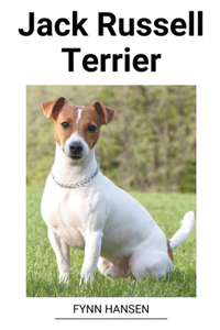 Jack Russell Terrier