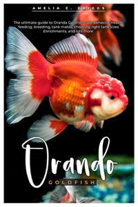 Oranda Goldfish
