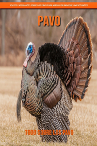 Todo sobre los Pavo