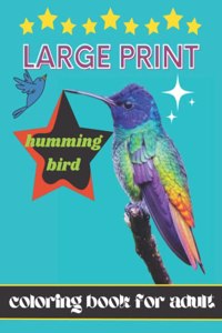 Large print Hummingbird Coloring Book For Adult.