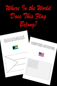 Where In the World Does This Flag Belong?