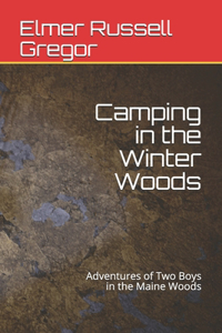 Camping in the Winter Woods