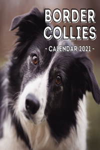 Border Collies