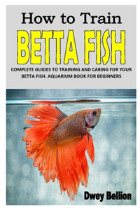 How to Train Betta Fish