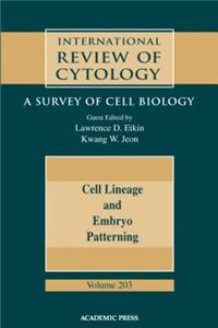 Cell Lineage and Embryo Patterning