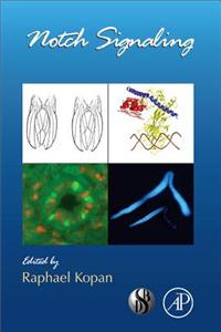Notch Signalling