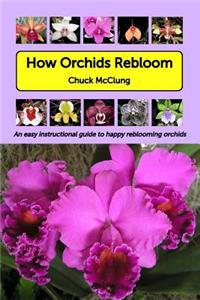 How Orchids Rebloom