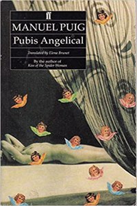 Pubis Angelical