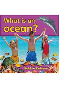 What Is an Ocean?