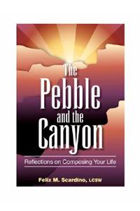 Pebble and the Canyon