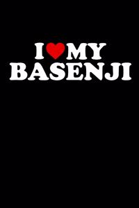 Basenji