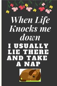 When Life Knocks Me Down I Usually Lie There and Take a Nap
