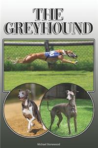 Greyhound