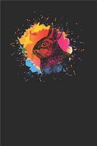 Rabbit Splash