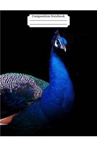 Composition Notebook Peacock Design Vol 9