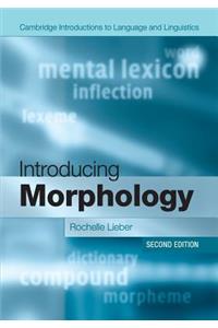 Introducing Morphology