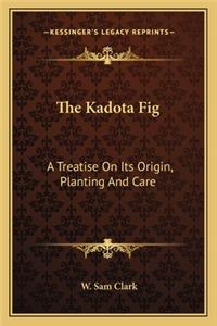 Kadota Fig the Kadota Fig