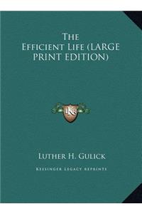 The Efficient Life