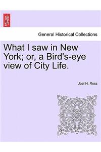 What I Saw in New York; Or, a Bird's-Eye View of City Life.