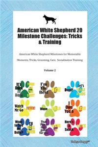 American White Shepherd 20 Milestone Challenges