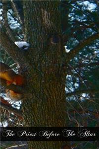 The Priest Before The Altar