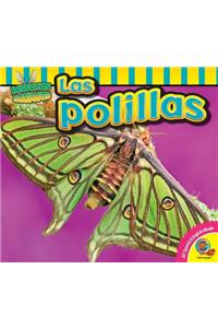Las Polillas