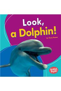 Look, a Dolphin!