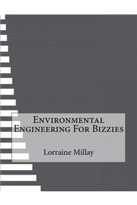 Environmental Engineering For Bizzies